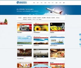 网络技术服务 基于DedeCMS内核的精品网站建设方案