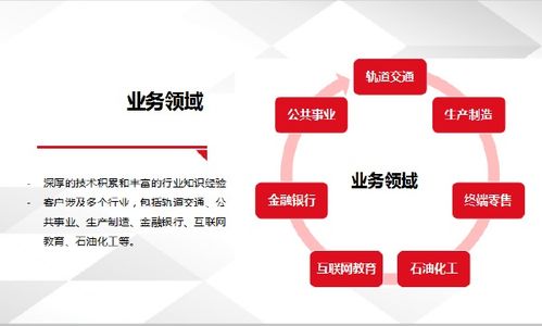 拉勾网软件外包服务 专业、高效、精准匹配的技术解决方案